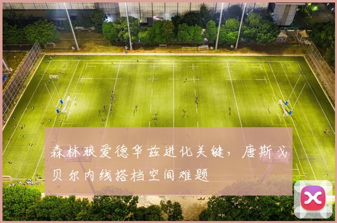 森林狼爱德华兹进化关键,唐斯戈贝尔内线搭档空间难题