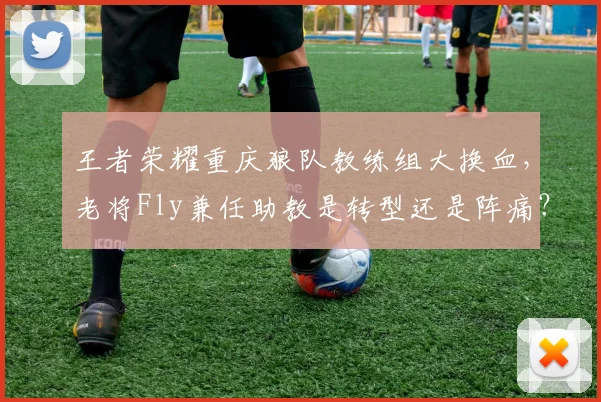 王者荣耀重庆狼队教练组大换血,老将Fly兼任助教是转型还是阵痛?